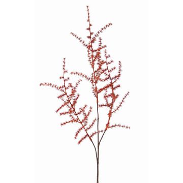 Deko Asparagus acutifolius Zweig HANS, orange, 70cm