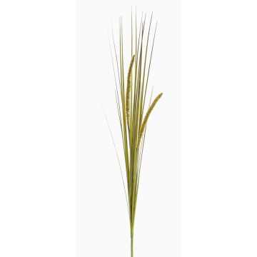 Deko Fuchsschwanzgras JILL, Stecker, Rispen, grün-gelb, 90cm