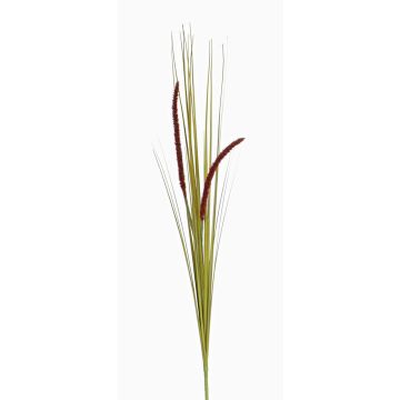 Deko Fuchsschwanzgras JILL, Stecker, Rispen, grün-violett, 90cm