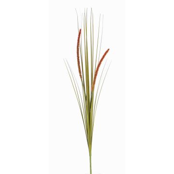 Deko Fuchsschwanzgras JILL, Stecker, Rispen, grün-rot, 90cm