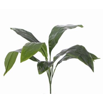 Deko Schusterpalme VASCO zum Stecken, 55cm
