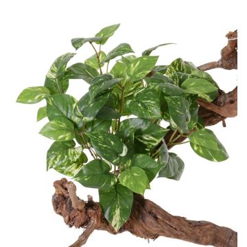 Deko Pothos NAEL, Stecker, schwerentzündbar, grün-weiß, 50cm