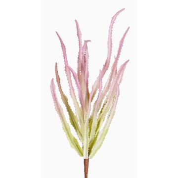 Deko Euphorbia trigona REESE zum Stecken, rosa-grün, 30cm, Ø20cm Deko Euphorbia trigona REESE zum Stecken, rosa-grün, 30cm, Ø20cm
