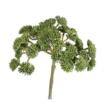 Plastik Sedum DANICA, grün, 20cm, Ø10cm