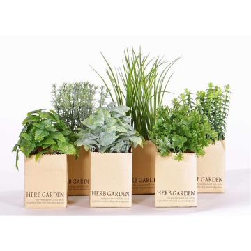 Künstliche Küchenkräuter CHUCK im Papiertopf, 6 Stück, grün, 15-25cm Künstliche Küchenkräuter CHUCK im Papiertopf, 6 Stück, grün, 15-25cm