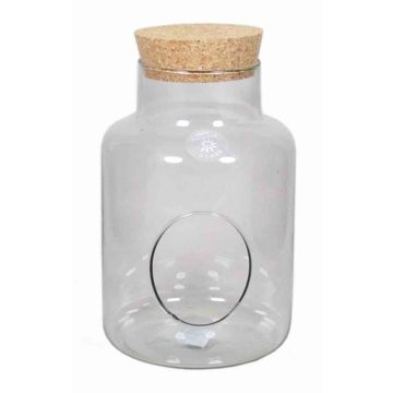 Glas Terrarium Vase DONELL mit Korkdeckel, klar, 25cm, Ø17cm Glas Terrarium Vase DONELL mit Korkdeckel, klar, 25cm, Ø17cm