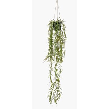 Kunstpflanze Sukkulente Korallenkaktus Hänger BOLTEN, grün, 80cm Kunstpflanze Sukkulente Korallenkaktus Hänger BOLTEN, grün, 80cm