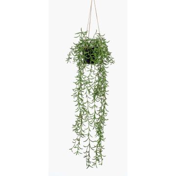 Kunst Sukkulente Senecio Blumenampel BOLTEN, grün, 70cm Kunst Sukkulente Senecio Blumenampel BOLTEN, grün, 70cm