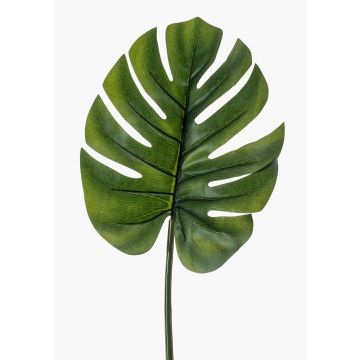 Dekoblatt Philodendron Monstera Deliciosa DRETA, 75cm Dekoblatt Philodendron Monstera Deliciosa DRETA, 75cm