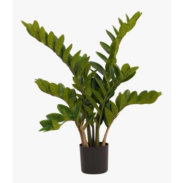 Künstliche Pflanze Zamioculcas SIMANO, 70cm Künstliche Pflanze Zamioculcas SIMANO, 70cm