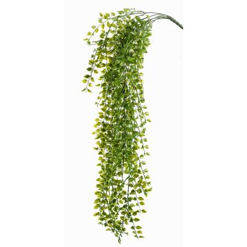 Kunst Hängepflanze Kletterfeige CABOT zum Stecken, crossdoor, 80cm Kunst Hängepflanze Kletterfeige CABOT zum Stecken, crossdoor, 80cm