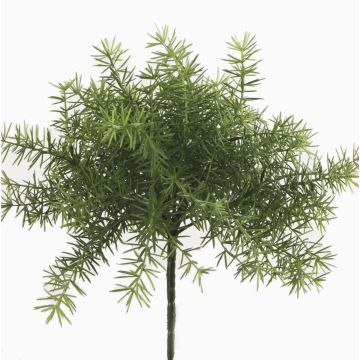 Kunstpflanze Asparagus sprengeri MONET zum Stecken, 10cm