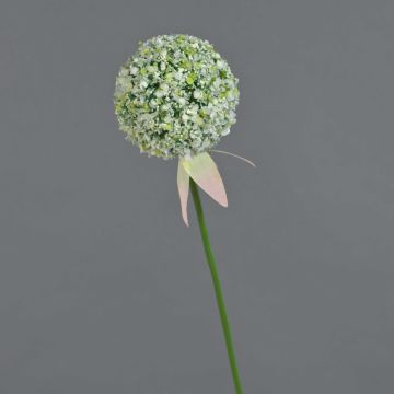 Allium künstlich DURBAN, weiß, 70cm, Ø9cm