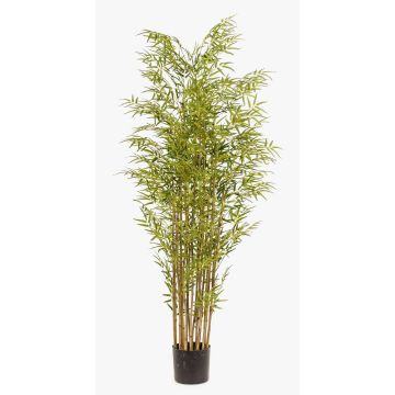 Künstlicher Bambus SATOKO, Echtstämme, 180cm