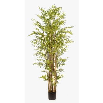 Künstlicher Bambus SATOKO, Echtstämme, 210cm