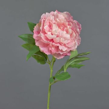 Pfingstrose künstlich DIVIN, rosa, 65cm, Ø15cm