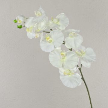 Künstliche Blume groß Phalaenopsis Orchideen Zweig ANAT, weiß, 95cm, Ø9-11,5cm