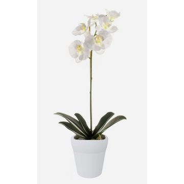 Plastik Orchidee Phalaenopsis ISIS, Keramiktopf, weiß, 55cm