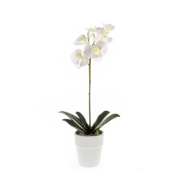 Plastik Orchidee Phalaenopsis ISIS, Keramiktopf, weiß, 55cm
