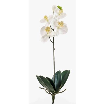 Plastik Orchidee Phalaenopsis ISIS, Stecker, weiß, 40cm