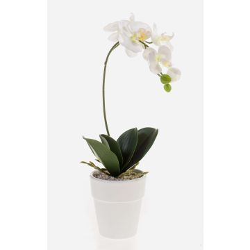 Plastik Orchidee Phalaenopsis ISIS, Keramiktopf, weiß, 40cm
