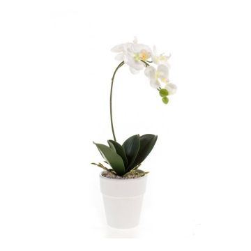 Plastik Orchidee Phalaenopsis ISIS, Keramiktopf, weiß, 40cm Plastik Orchidee Phalaenopsis ISIS, Keramiktopf, weiß, 40cm