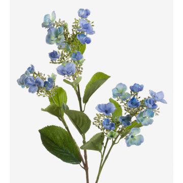 Hortensie unecht ALAZNE, blau, 75cm
