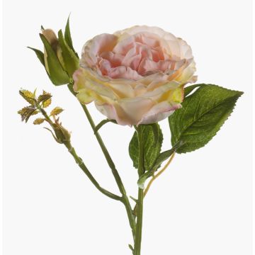 Kunstrose CESCA, rosa-gelb, 40cm, Ø9cm Kunstrose CESCA, rosa-gelb, 40cm, Ø9cm