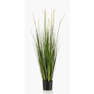 Künstliches Gras Fuchsschwanzgras OTIS mit Rispen, grün, 120cm Künstliches Gras Fuchsschwanzgras OTIS mit Rispen, grün, 120cm