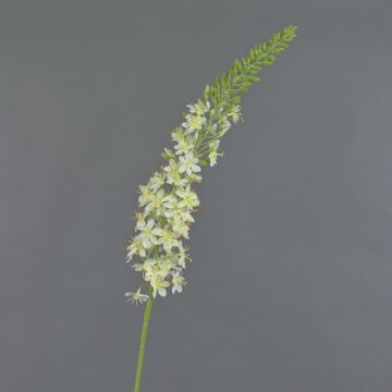 Künstliche Blume groß Steppenkerzen SELINA, creme, 105cm, Ø9cm