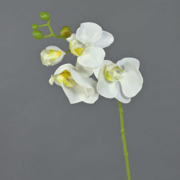 Kunstorchidee Phalaenopsis MINA, weiß, 55cm, Ø7-8cm