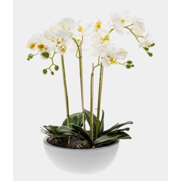 Kunstorchidee Phalaenopsis MINA im Keramiktopf, weiß, 60cm