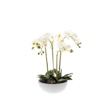 Kunstorchidee Phalaenopsis MINA im Keramiktopf, weiß, 60cm Kunstorchidee Phalaenopsis MINA im Keramiktopf, weiß, 60cm