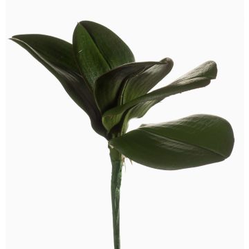 Künstliche Phalaenopsis Orchideenblätter NIUT, Stecker, grün, 25cm