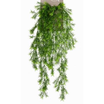 Künstliche Hängepflanze Asparagus sprengeri COLE, Stecker, 75cm Künstliche Hängepflanze Asparagus sprengeri COLE, Stecker, 75cm
