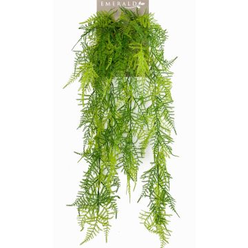 Künstliche Hängepflanze Asparagus plumosus COLE, Stecker, 80cm