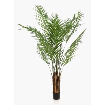 Palme Plastik Arecapalme CUZCO, 180cm