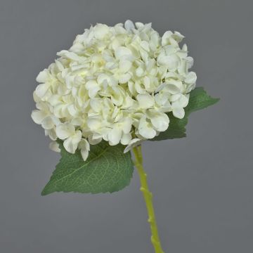 Hortensie unecht EGIA, creme, 50cm, Ø16cm