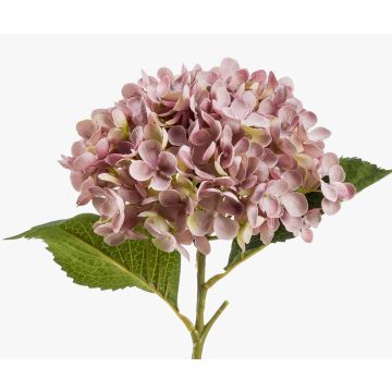 Hortensie unecht EGIA, rosa, 50cm, Ø16cm