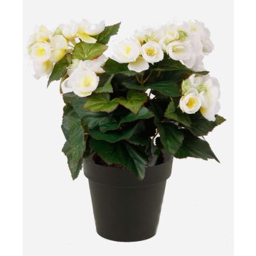 Deko Kunstblume Begonie DOBRADA, creme, 30cm