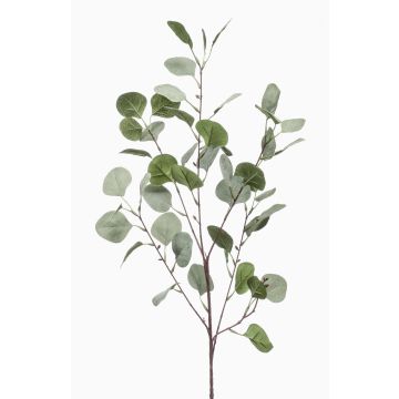 Eukalyptus Kunstzweig COLTON, grün-grau, 85cm Eukalyptus Kunstzweig COLTON, grün-grau, 85cm