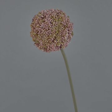 Künstliche Allium BOUTROS, lila-grün, 75cm, Ø9cm