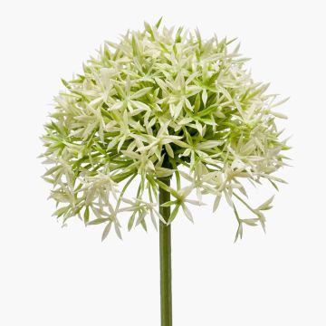 Allium künstlich ARNAU, creme-grün, 60cm, Ø10cm