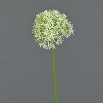 Allium künstlich ARNAU, creme-grün, 60cm, Ø10cm