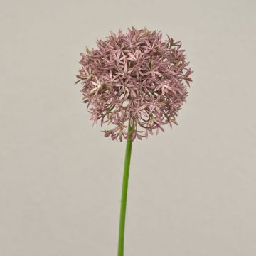 Allium künstlich ARNAU, altlila, 60cm, Ø10cm
