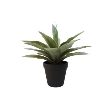 Künstliche Sukkulente Drachenbaum-Agave DESIREE, grün, 20cm, Ø25cm Künstliche Sukkulente Drachenbaum-Agave DESIREE, grün, 20cm, Ø25cm