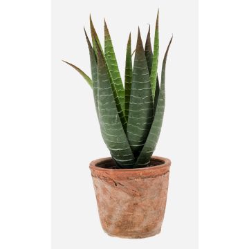 Kunst Sukkulente Aloe Variegata MARTINEZ im Terracottatopf, grün, 20cm, Ø17cm