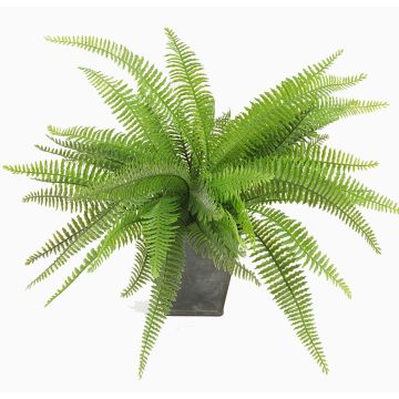 Künstlicher Farn Boston Farn REMY im Dekotopf, grün, 30cm