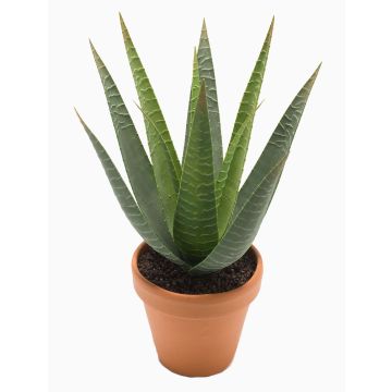 Kunst Sukkulente Aloe Variegata MARTINEZ, Tontopf, grün, 30cm, Ø17cm