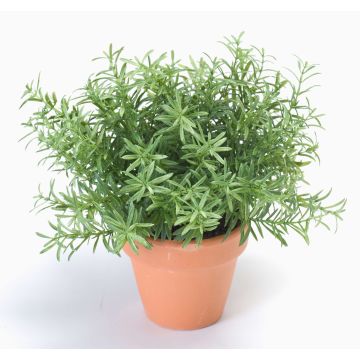 Künstliche Kräuter Rosmarin JOSHUA im Tontopf, grün, 20cm, Ø17cm Künstliche Kräuter Rosmarin JOSHUA im Tontopf, grün, 20cm, Ø17cm